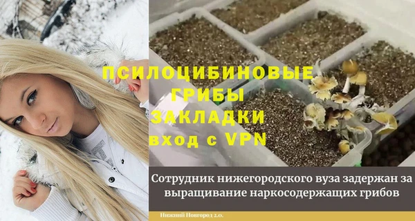 дмт Алзамай