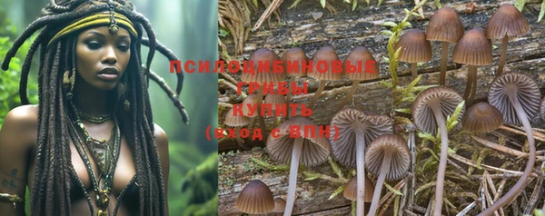 дмт Алзамай
