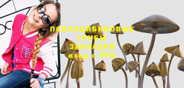соль ск Алексин