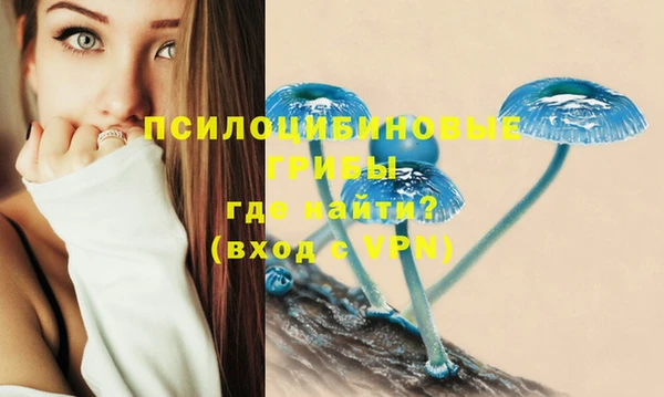 соль ск Алексин