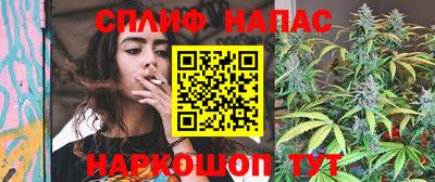 стаф Абакан