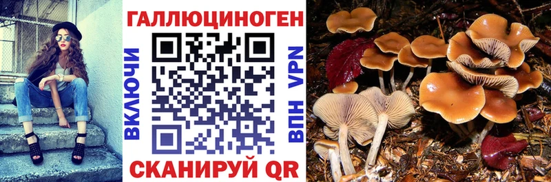 Галлюциногенные грибы Magic Shrooms  Апшеронск 