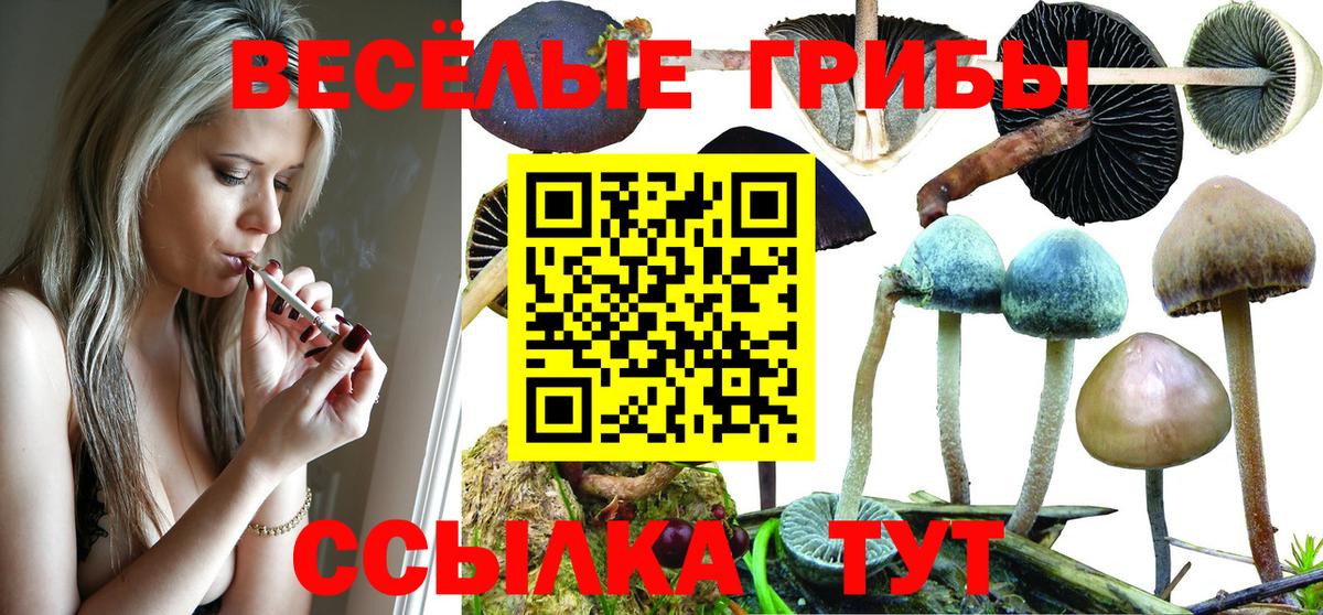 Гашиш Апшеронск