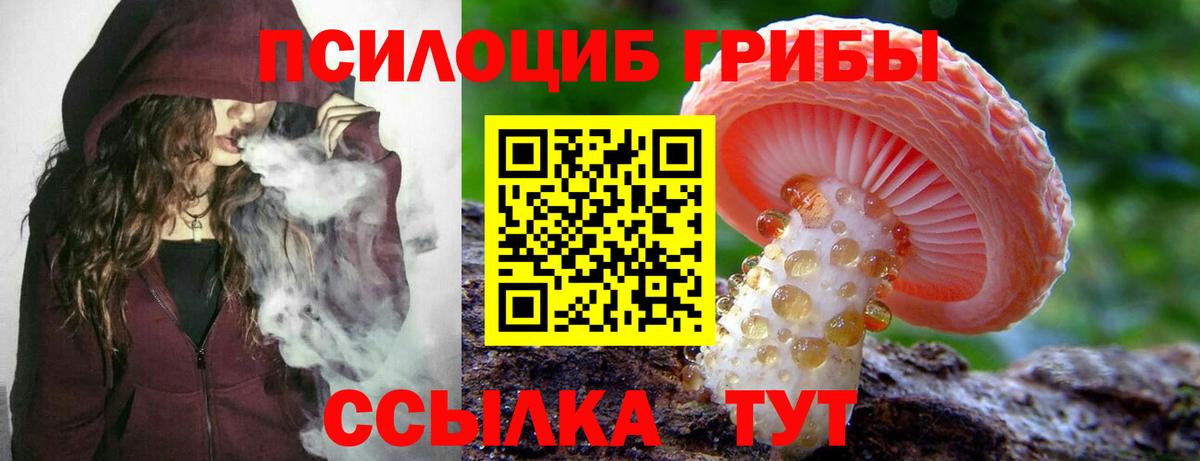 Галлюциногенные грибы Psilocybine cubensis Апшеронск