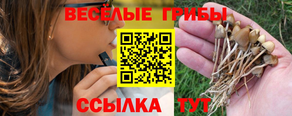 Псилоцибиновые грибы MAGIC MUSHROOMS Апшеронск