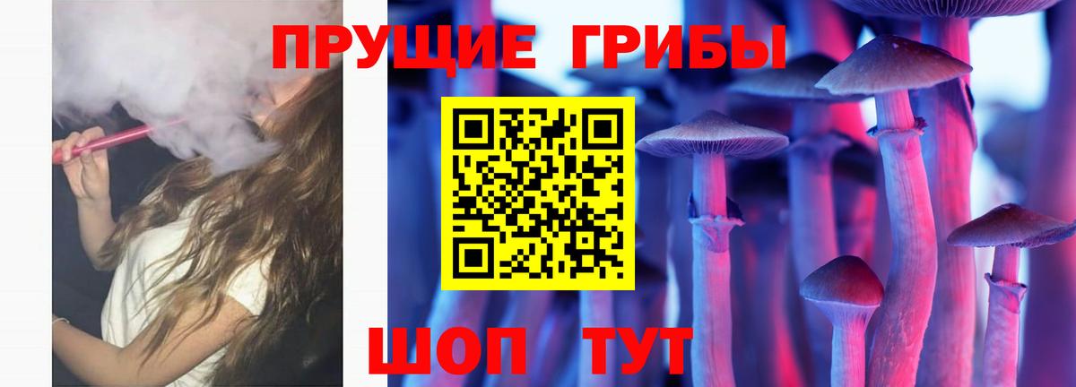 Апшеронск  Псилоцибиновые грибы MAGIC MUSHROOMS  Вход с VPN 